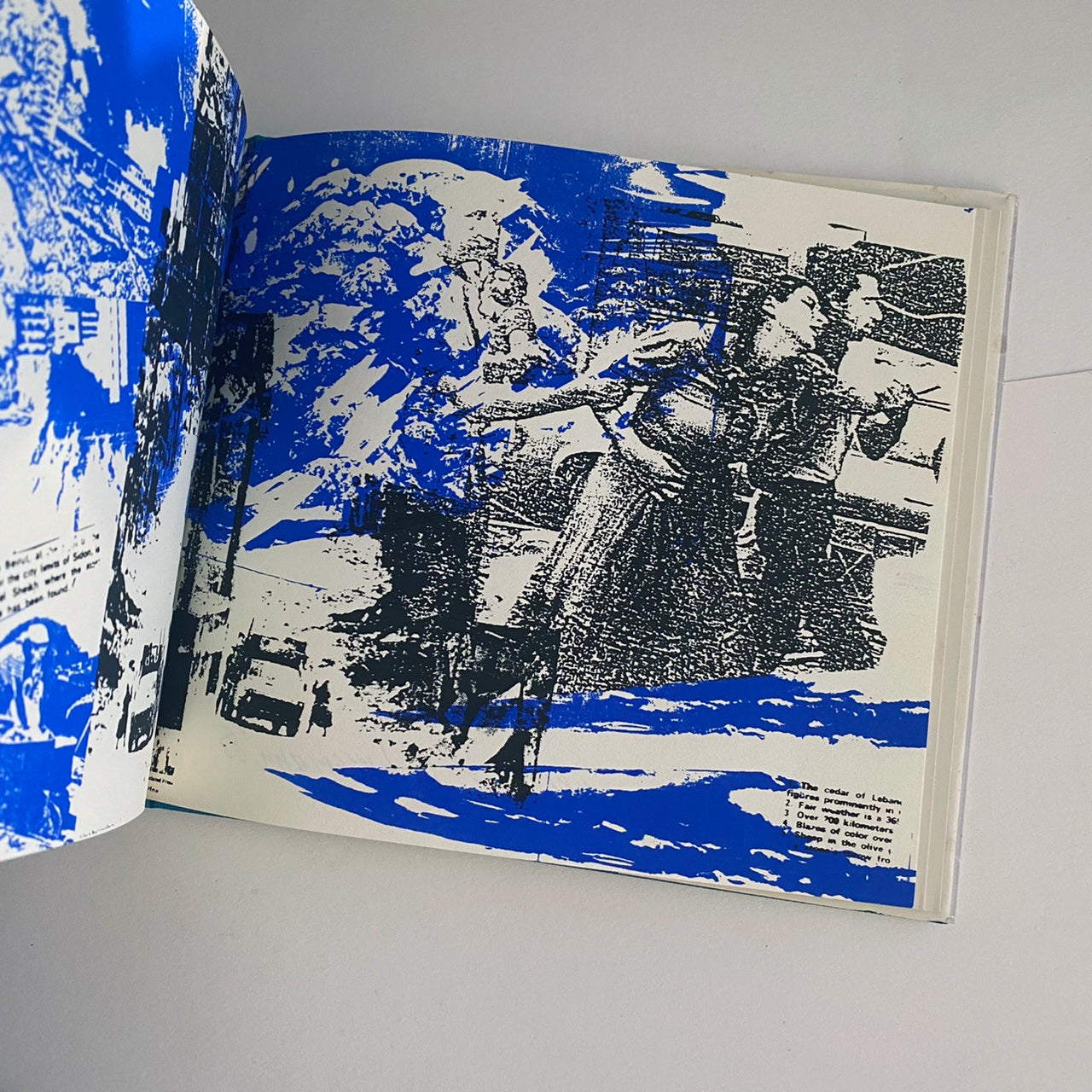Carolee Schneemann: Early & Recent Work
