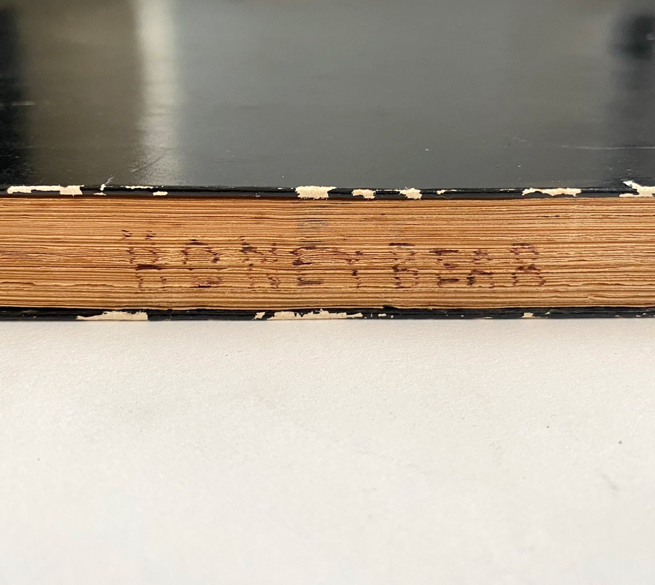 “Honeybear, I Think I Love You” Screenplay by Charles Eastman